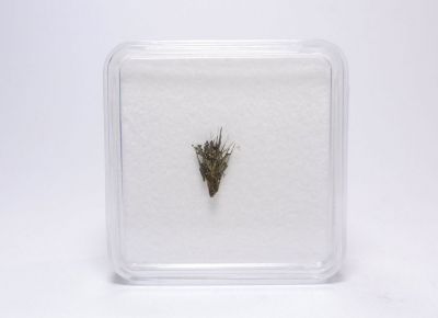 Millerit - ⚒ Staříč III, Chlebovice u Frýdku-Místku Millerit - ⚒ Staříč III, Chlebovice u Frýdku-Místku